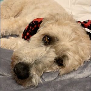 Meet your Posher, Kayl